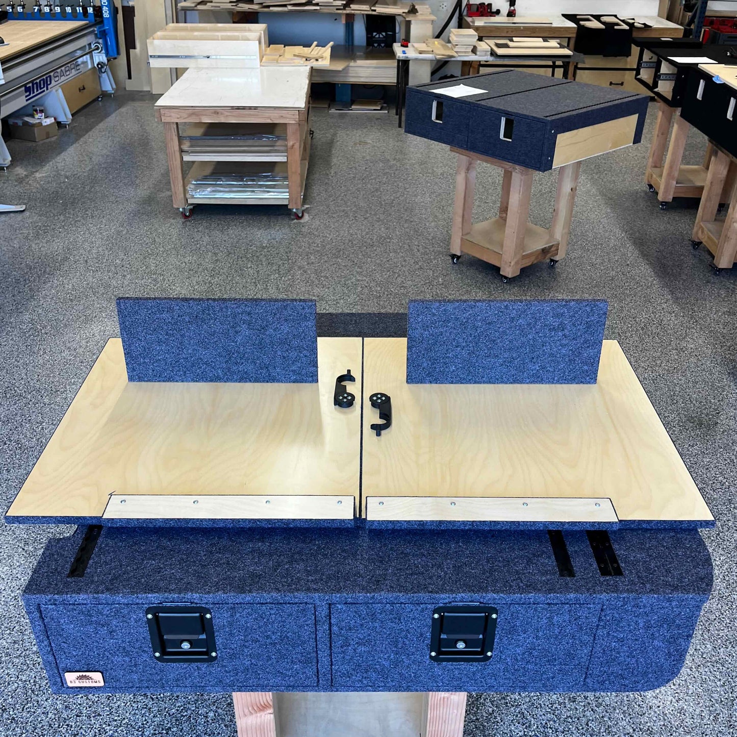 3rd Gen 4Runner Sleeping Platform