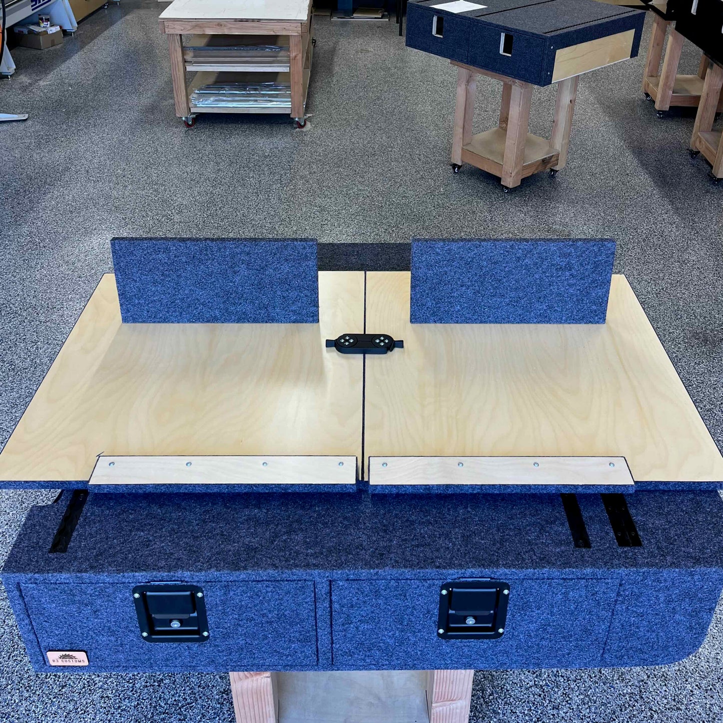 3rd Gen 4Runner Sleeping Platform